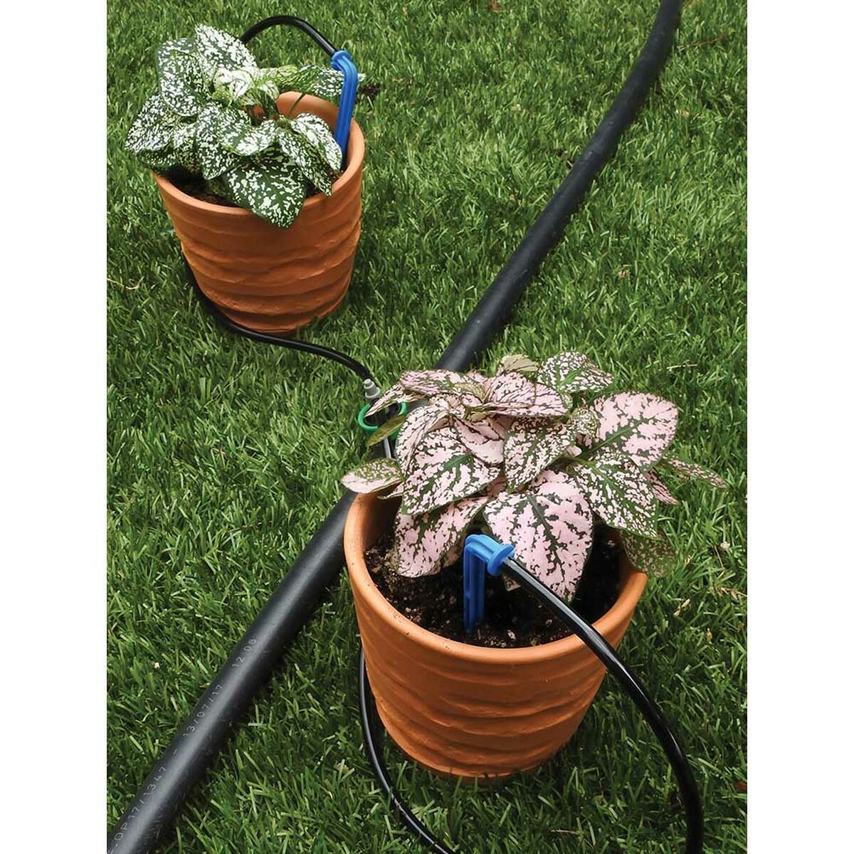 Giesskanne Aqua Control Polypropylen